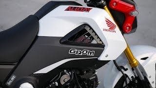 This is How I Made My Honda Grom FASTER  Intake amp ECU Flash [upl. by Raclima695]