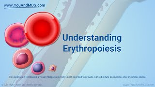 Understanding Erythropoiesis [upl. by Nylevol]