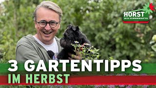 Astern Birnen Dahlien – Dein Gartenkalender im September  Horst sein Schrebergarten [upl. by Carena]