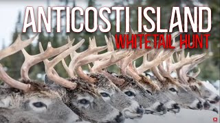 Whitetail Deer Hunting on Anticosti Island Quebec [upl. by Malonis334]