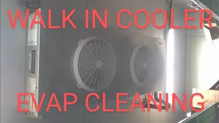 walk in cooler evaporator leak found [upl. by Ymac]