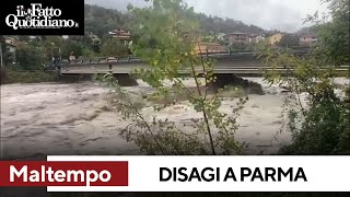 Parma e Piacenza con il fiato sospeso per le piene dei fiumi ingrossati dalle precipitazioni [upl. by Mackie]