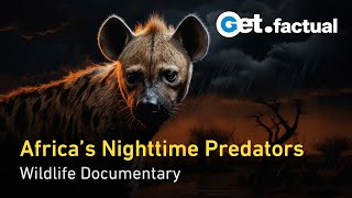 Africas Hunters of the Night  Wildlife Documentary [upl. by Asemaj994]