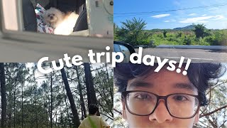 Vlog de Mis Últimos Días de Vacaciones Antes de Entrar a la Universidad  Luis Lomeli [upl. by Esinehc]