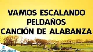 VAMOS ESCALANDO PELDAÑOS PISTA [upl. by Grimbald]