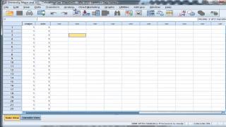 ChiSquare  PostHoc Testing  SPSS Part 1 [upl. by Annaitat272]