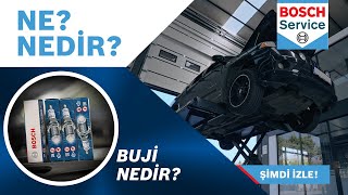 Buji Nedir Buji Ne İşe Yarar [upl. by Aseiram]