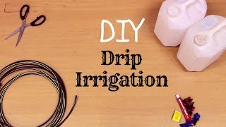 DIY Rs40 Automatic Irrigation System for Home Garden [upl. by Oicangi160]