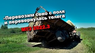 Раб 25ый день quotПеревозим сено с поля на базу на МТЗ 20223quot [upl. by Aniv]