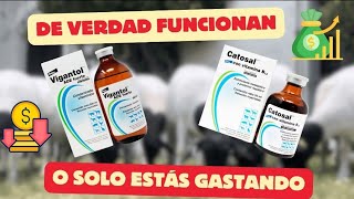 CATOSAL Y VIGANTOL ¿FUNCIONAN Vitaminas para el ganado [upl. by Renner]