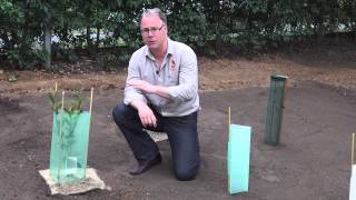 How to install Tree Guards by All Stake Supply [upl. by Emanuel]