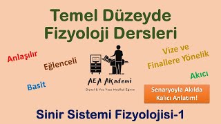 Temel Fizyoloji Dersleri Sinir Sistemi Fizyolojisi1 OrganizasyonSinaptik İletiNörotransmitter [upl. by Ibocaj]