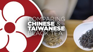 Chinese vs Taiwanese Black Tea [upl. by Eadwina]