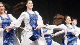 HAVA NAGILA Jewish Punjabi Israel India Dance  Downtown Bhangra Vancouver [upl. by Thamos]