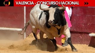 VALENCIA  XXIV CONCURSO NACIONAL DE RECORTADORES 17032019 [upl. by Darmit]