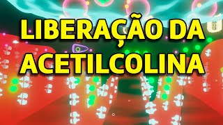 Liberação da Acetilcolina do motoneurônio alfa [upl. by Tronna]