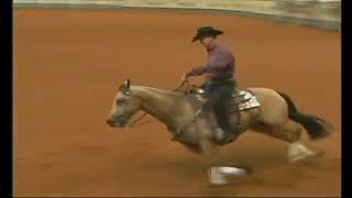 2006 Jr Reining World Champion Hollywood Downtown [upl. by Zahara]