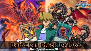 RedEyes Black Dragon Deck with New Skill RedEyes Reverse YuGiOh Duel Links [upl. by Alysia]