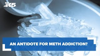 An antidote for meth addiction Doctors say its quite possible [upl. by Danika344]