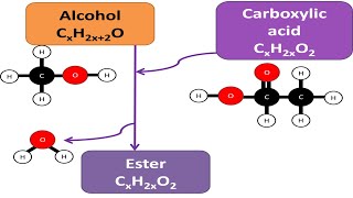 Esterification [upl. by Meean]