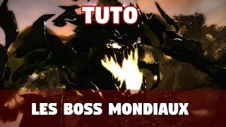 Guild Wars 2 TUTO Tout savoir sur les world boss [upl. by Rehprotsirhc291]