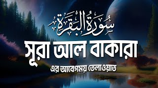 Surah Baqarah سورة البقرة  সূরা আল বাকারা। Best Emotional Quran Tilawat  Sheikh Masud [upl. by Elem429]