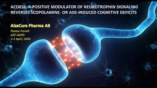 ACD856 A POSITIVE MODULATOR OF NEUROTROPHIN SIGNALING REVERSES AGEINDUCED COGNITIVE DEFICITS [upl. by Nylaj]