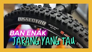 Review Ban Maxxis Bike Dissector Downhill Mtb [upl. by Mun]