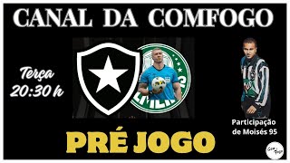 LIVE PRÉ JOGO DA COMFOGO  BOTAFOGO X palmeiras  17ª RODADA [upl. by Worrell]