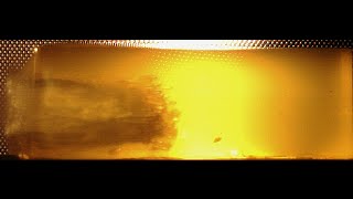 12 Gauge Winchester Rooster XR vs Ballistic Gelatin [upl. by Amerd]