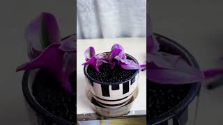 Cutting flowers with planting pollination flowers in pot plastic flowers garden beautiful [upl. by Eitsym636]