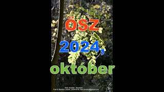 Ősz 2024 október [upl. by Tanaka]