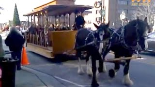 Clydesdale HorseDrawn Trolley Main St Belleville IL [upl. by Elleinnod]