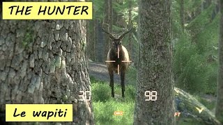 THE HUNTER Carton plein sur les wapitis HD 1080p FR [upl. by Agata]