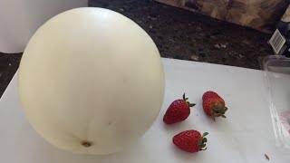 Irene Bee View Vlogger is live Lets Peel Rock Melon amp strawberrypeel rockmelon yummy [upl. by Ozmo128]