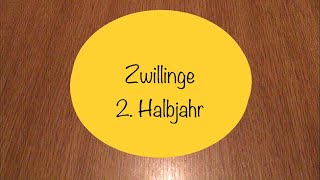 Zwillinge  2 Halbjahr [upl. by Alikat]