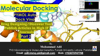 Drug discovery I Drug designing I PYMOL I Auto dock vina I Bioinformatics I Publish Article PART 2 [upl. by Yttig]