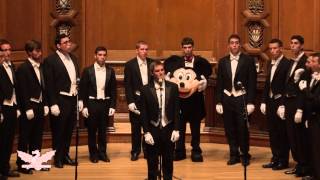 Rainbow Connection  The Yale Whiffenpoofs of 2014 [upl. by Nessah]