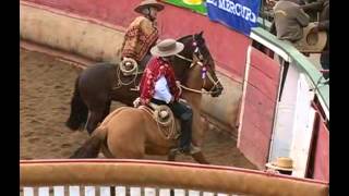 Rodeo Campeones de Chile [upl. by Austine]