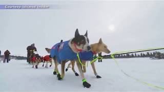 Iditarod 2018 Recap [upl. by Yasmine762]