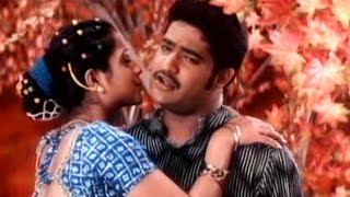 Nee Navvula Full Video Song  Aadi Movie  Jr N T R Keerthi Chawla  shalimarcinema [upl. by Eannej861]