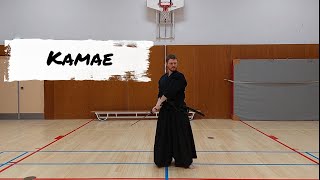 iaido znkr Kamae [upl. by Schulze]