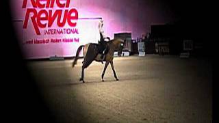 Equitana Freestyle Performance Show Hall 6 [upl. by Aleiram]