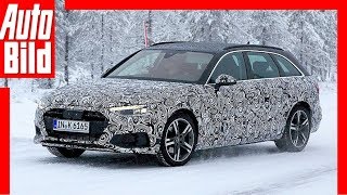 Audi A4 Erlkönig 2019 Neuvorstellung  Erlkönig  Details [upl. by Pelage]