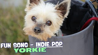 🎶 Tiny Terrier TroublesFun Song about Yorkie 🐾 [upl. by Asquith]