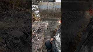 Excavator dumps sand construction shorts excavator viral [upl. by Nossila]