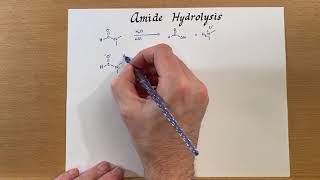 Amide Hydrolysis [upl. by Adnahcal]