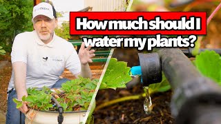 How Long Are You Supposed to Run a Drip Irrigation System [upl. by Erdnaid399]