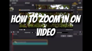 How to Zoom in on Video [upl. by Anauj]