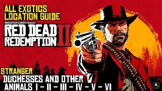 Red Dead Redemption 2 ★ Stranger Duchesses And Other Animals All Exotics Location Guide [upl. by Toddie]